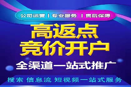 百度品牌广告的创意与执行案例